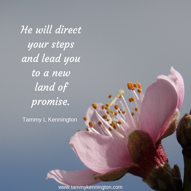 He will direct your steps and lead you to a new land of promise..png