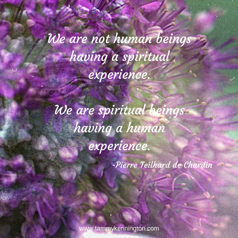 We are not human beings having a spiritual experience. We are spiritual beings having a human experience..png