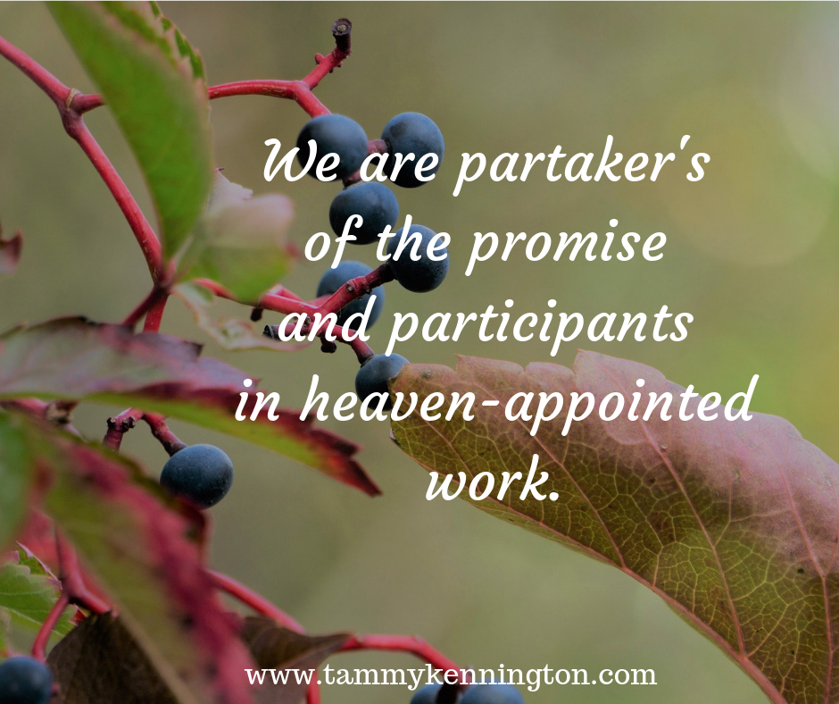 We are partaker's of the promise and participants in heaven-appointed work. (1)