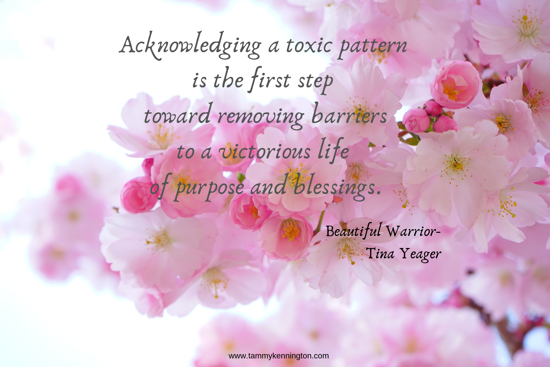 Acknowledging a toxic pattern is the first step toward removing barriers to a victorious life of purpose and blessings