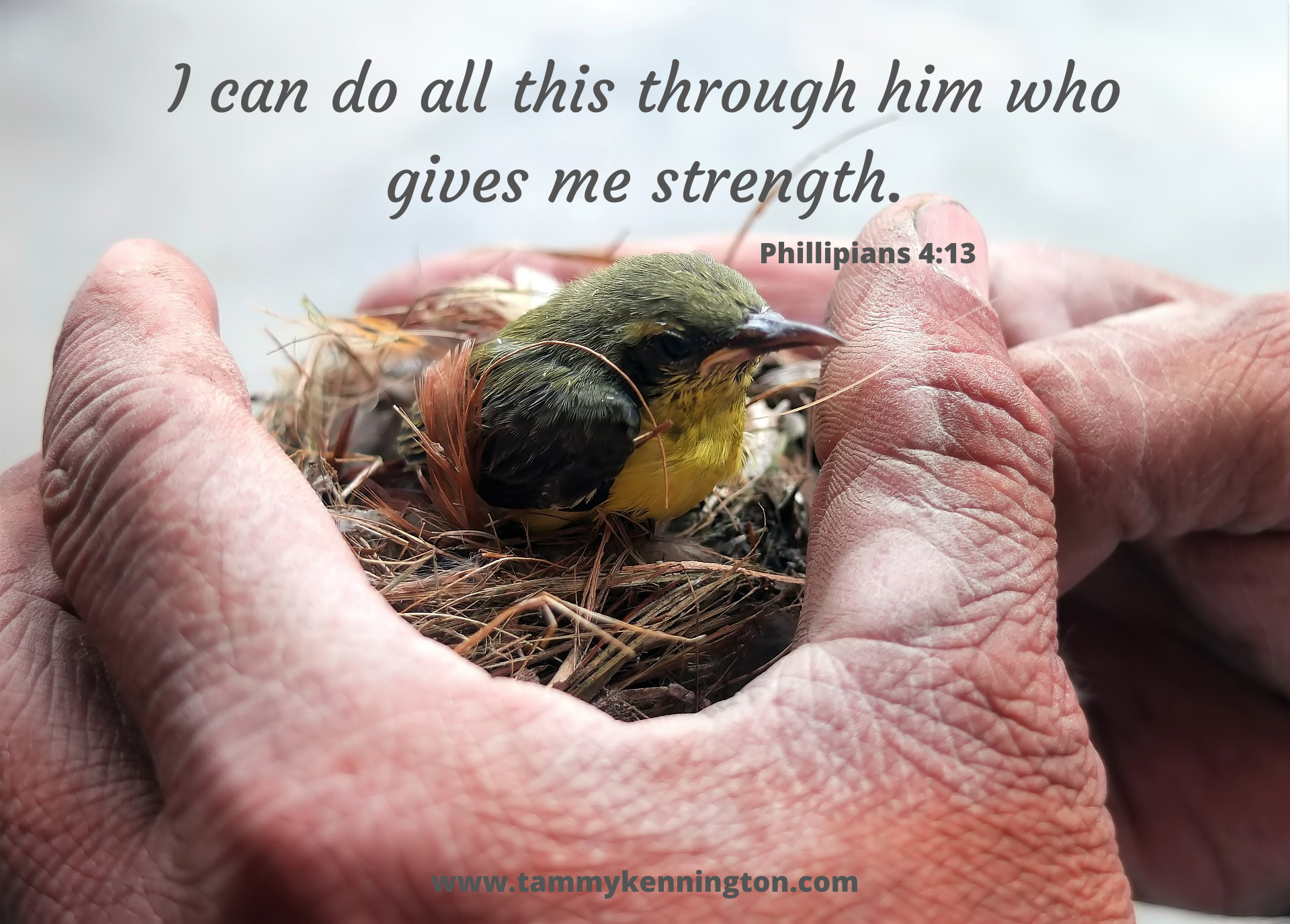 I can do all this through him who gives me strength.