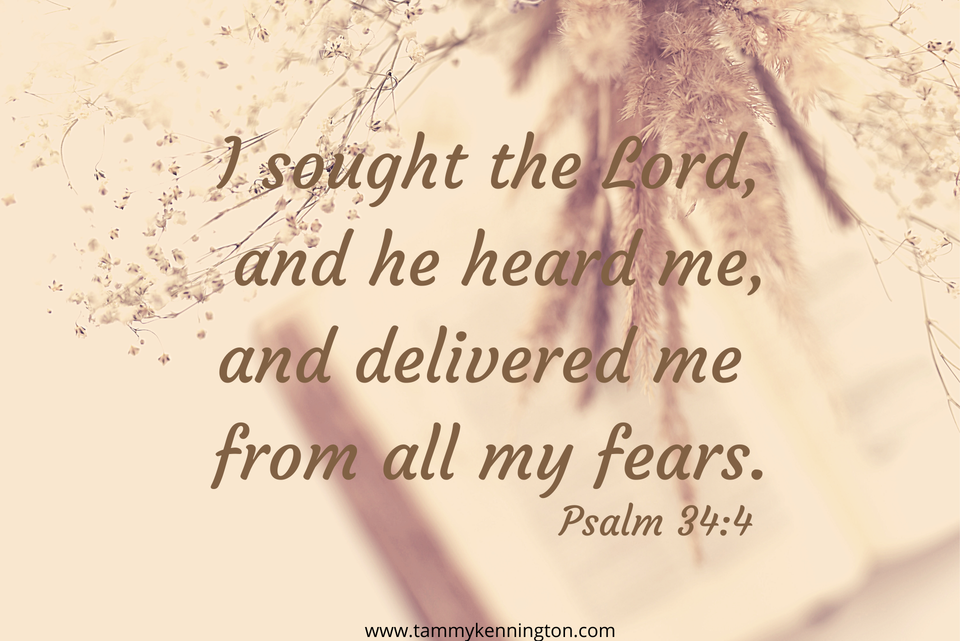 I sought the Lord, and he heard me, and delivered me from all my fears.