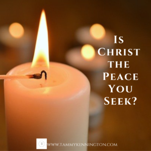 Is Christ the Peace You Seek?