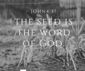 What Does the Bible Say About Spiritual Seeds?