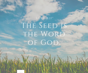 What is Spiritual Seed?