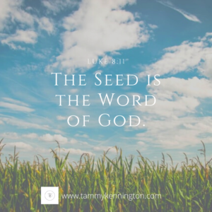 What is Spiritual Seed?