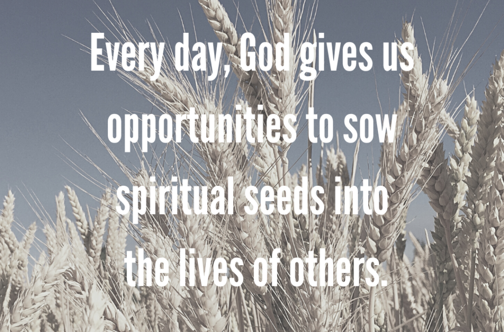 Sowing Spiritual Seeds and the Four Soils