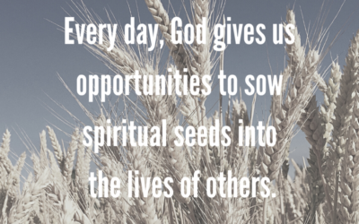 Sowing Spiritual Seeds and the Four Soils