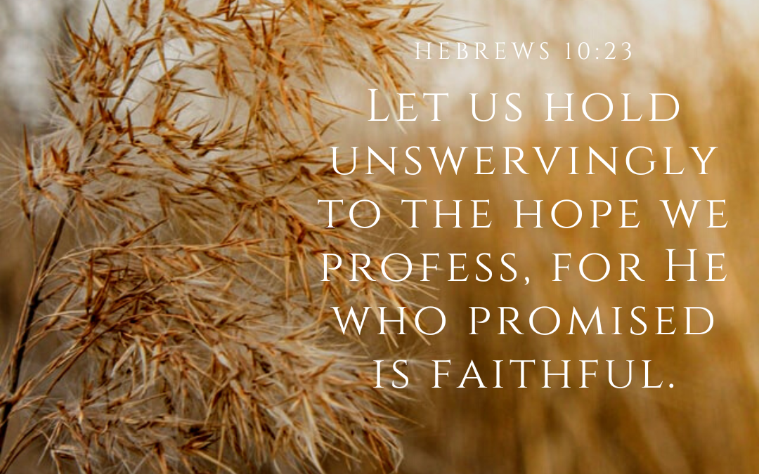 How to Discover Hope When Seeds of Promises Are Unfulfilled (Guest Post by Hadassah Treu)