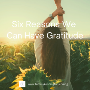 Six Reasons We Can Have Gratitude