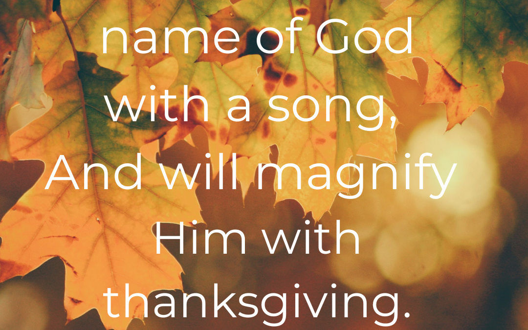 24 Uplifting Thanksgiving Quotes and Bible Verses