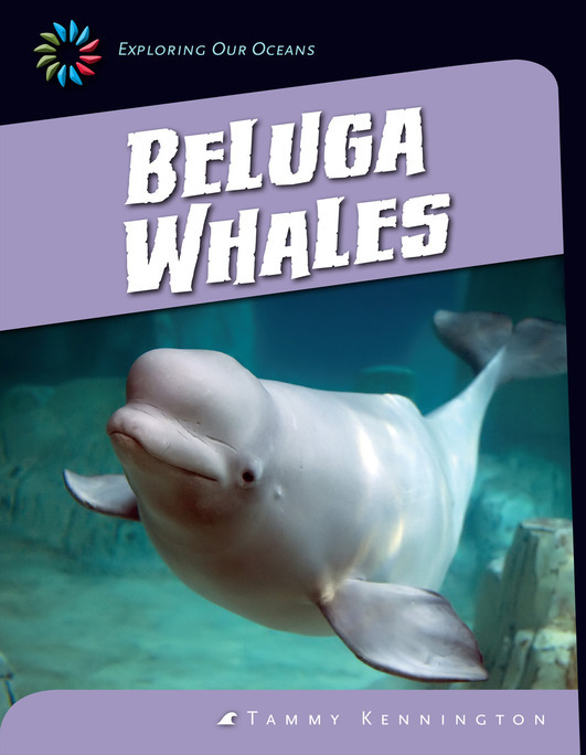 Beluga Whales book cover