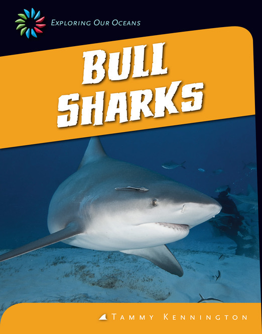 Bull Sharks book cover